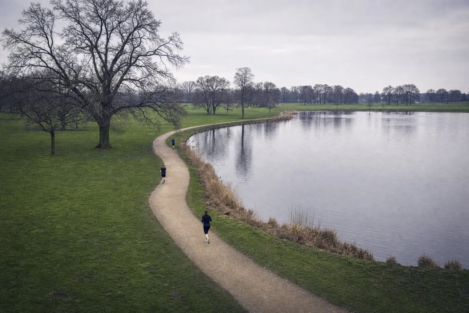 Geschwungener Kiesweg an einem Parksee, einzelne Läufer in der Ferne