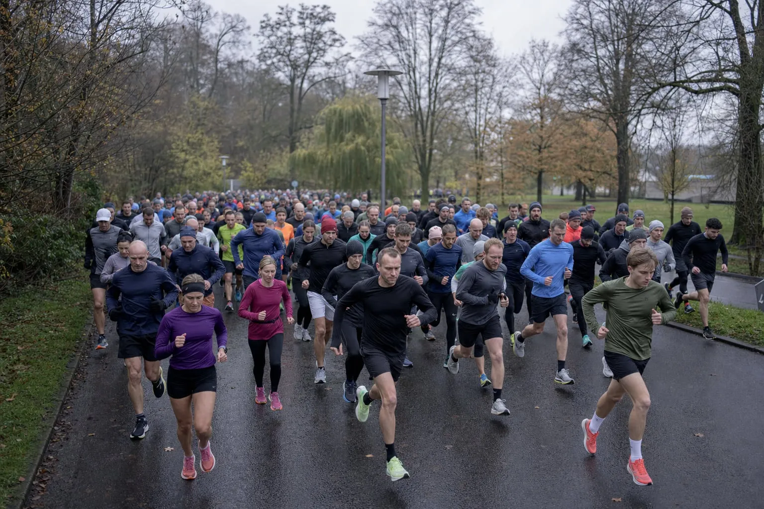 Läuferfeld beim Start eines Volkslaufs auf einer Parkstraße im Spätherbst